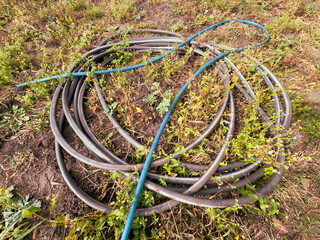 The hose lies on the ground in the garden