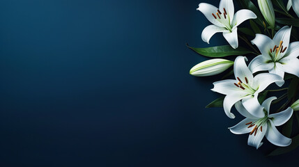 minimalistic lilies with dark blue background with copy space