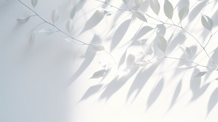 Obraz premium autumn leaves background