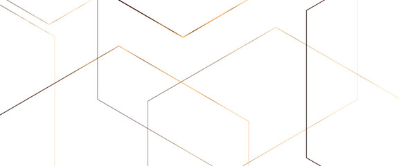 Vector abstract geometric pattern with crossing thin golden lines on white Transparent background.