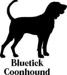 Bluetick Coonhound Dog silhouette dog breeds logo dog monogram logo dog face vector
