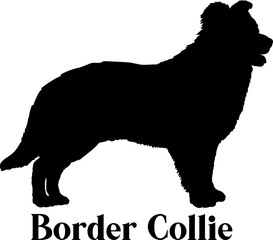 Border Collie Dog silhouette dog breeds logo dog monogram logo dog face vector
 - obrazy, fototapety, plakaty