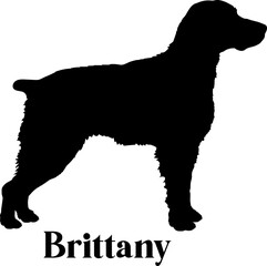 Brittany Dog silhouette dog breeds logo dog monogram logo dog face vector
