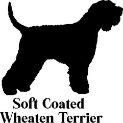 Soft Coated Wheaten Terrier. Dog silhouette dog breeds logo dog monogram logo dog face vector
