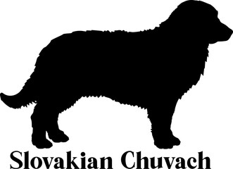 Slovakian Chuvach Dog silhouette dog breeds logo dog monogram logo dog face vector
