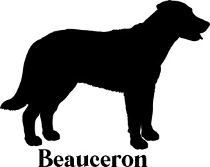 Beauceron Dog silhouette dog breeds logo dog monogram logo dog face vector
