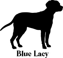 Blue LacyDog silhouette dog breeds logo dog monogram logo dog face vector
