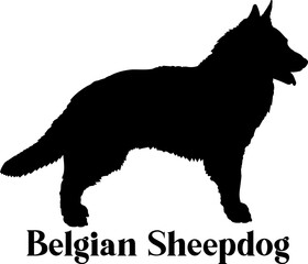  Belgian Sheepdog Dog silhouette dog breeds logo dog monogram logo dog face vector
