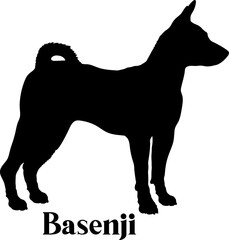 Basenji. Dog silhouette dog breeds logo dog monogram logo dog face vector
