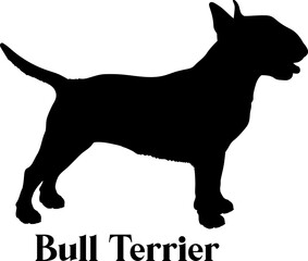 Bull Terrier Dog silhouette dog breeds logo dog monogram logo dog face vector
