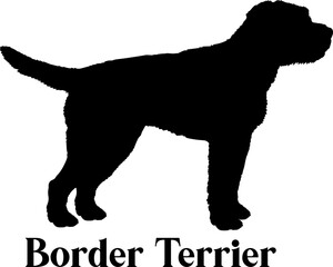  Border Terrier Dog silhouette dog breeds logo dog monogram logo dog face vector

