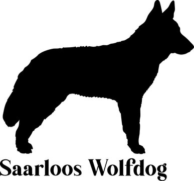 Saarloos Wolfdog Dog silhouette dog breeds logo dog monogram logo dog face vector
