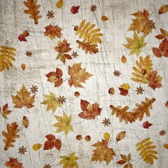 autumn leaves background,wallpaper 
