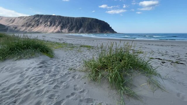 Beautiful Sunny Summer Evening on the Sandy Beach at the Shores of the Barents Sea