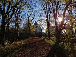 The road in the park is strewn with fallen autumn leaves and ends at an old wrought iron gate. A church with white walls can be seen on the mountain.
