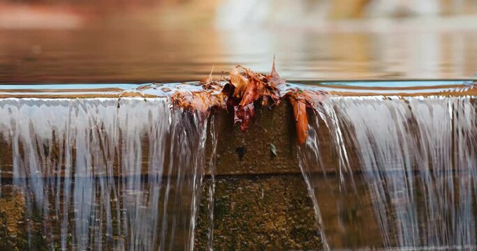Autumn close up of storm water flowing over a wood plank dam with leaves.	