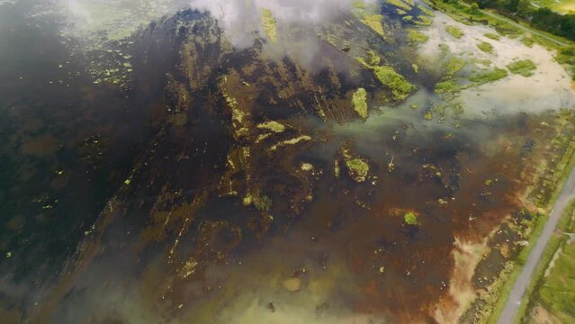 Aerial view of a lake covered in green algae on a summer day in Chennai, India.