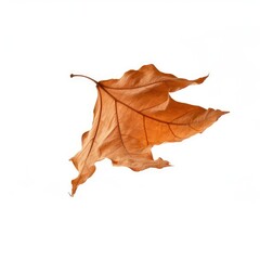 Dry falling leaf isolated overlay on White background PNG Form, Generative AI