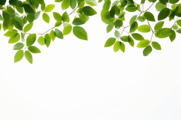 Natural green leaves frame PNG Form, Generative AI