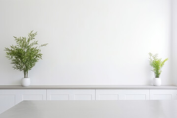 Blank white wall mockup in minimalist kitchen interior with houseplants in pots. Copy space