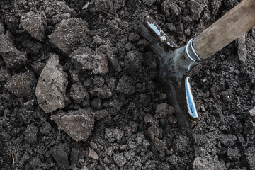 Tilled soil on a homestead plot. A shovel stuck in the ground