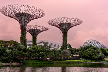 gardern by the bay at sunrise.
view of the garden by the bay with supertree and Cloud Dome and Forest Dome in the background. singapore - 677063038