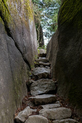 Obraz premium 筑波山