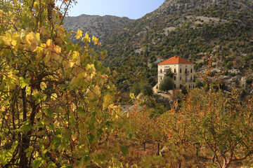 Lebanese House in Autumn