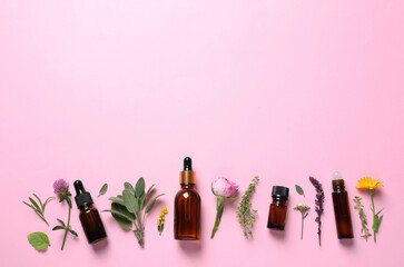 Bottles of essential oils, different herbs and flowers on pink background, flat lay. Space for text