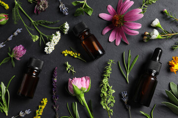 Bottles of essential oils, different herbs and flowers on black table, flat lay