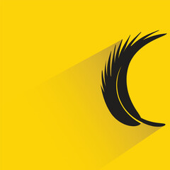 feather with shadow on yellow background