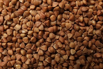 Dry buckwheat grains as background, top view