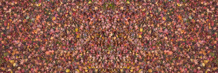 Background image with dry maple leaves in full screen