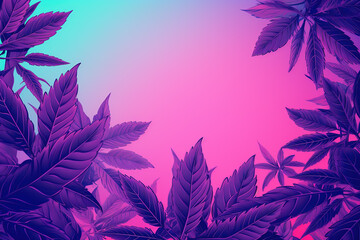 Cannabis leaves banner. Cannabis marijuana foliage with a purple pink pastel tint. Large purple leafs of cannabis plant on blue background
