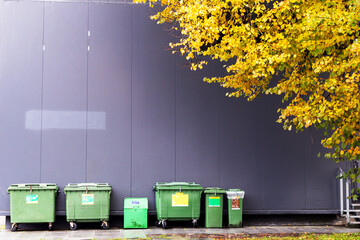.Green waste containers are placed against a gray wall and yellow tree foliage on the side