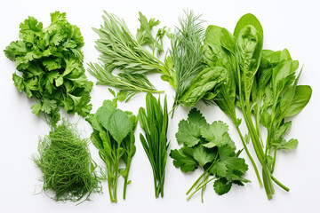 Collection of fresh herb leaves. arugula Spices, herbs on a white table