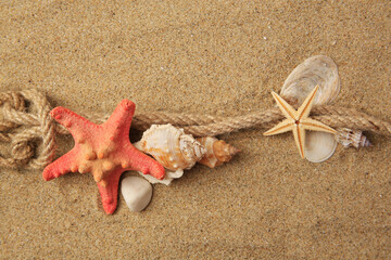 Fototapeta na wymiar Beautiful sea stars, shells and rope on sand, flat lay