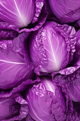 Obraz premium Meet Red Cabbage. Perfect for Salads