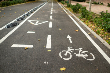 general view with detail of bike lane in the city with dry leaves.