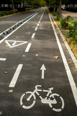 Obraz premium bike lane in the city