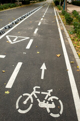 Obraz premium general view with detail of bike lane in the city 