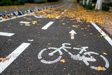 general view with detail of bike lane in the city with dry leaves. - Powered by Adobe