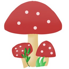 fly agaric mushroom