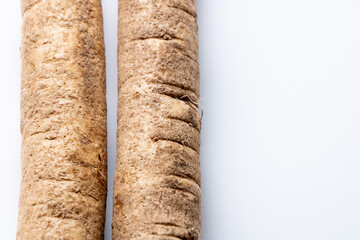 洗いごぼうのアップ。(白バック)
