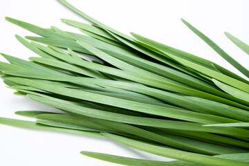 ニラのアップ。
