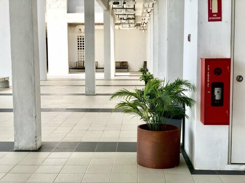 Environment in UniSZA campus besut with the beautiful plant
