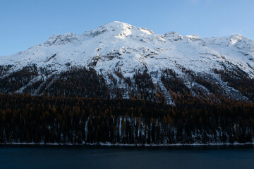 Snowy landscape