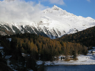 Snowy landscape