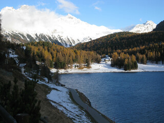 Snowy landscape