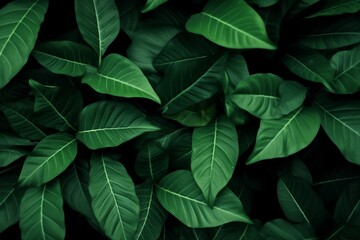 Green leaves pattern background, Natural background and wallpaper. generative ai.